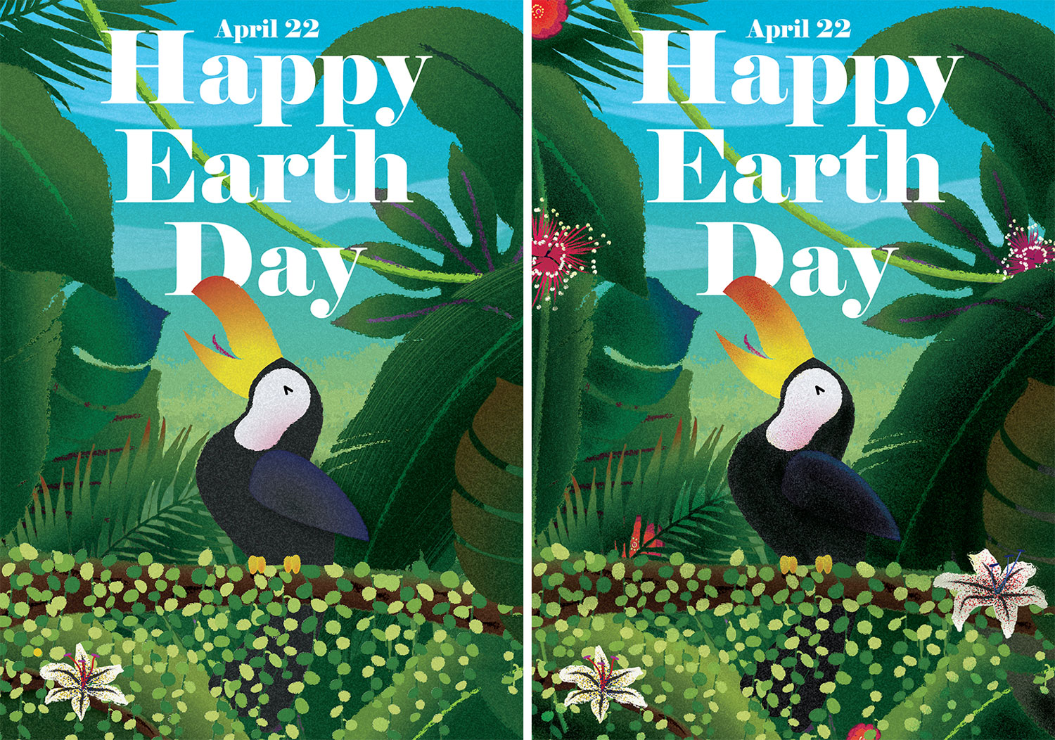 Presentation travail illustration Toucan Earth Day